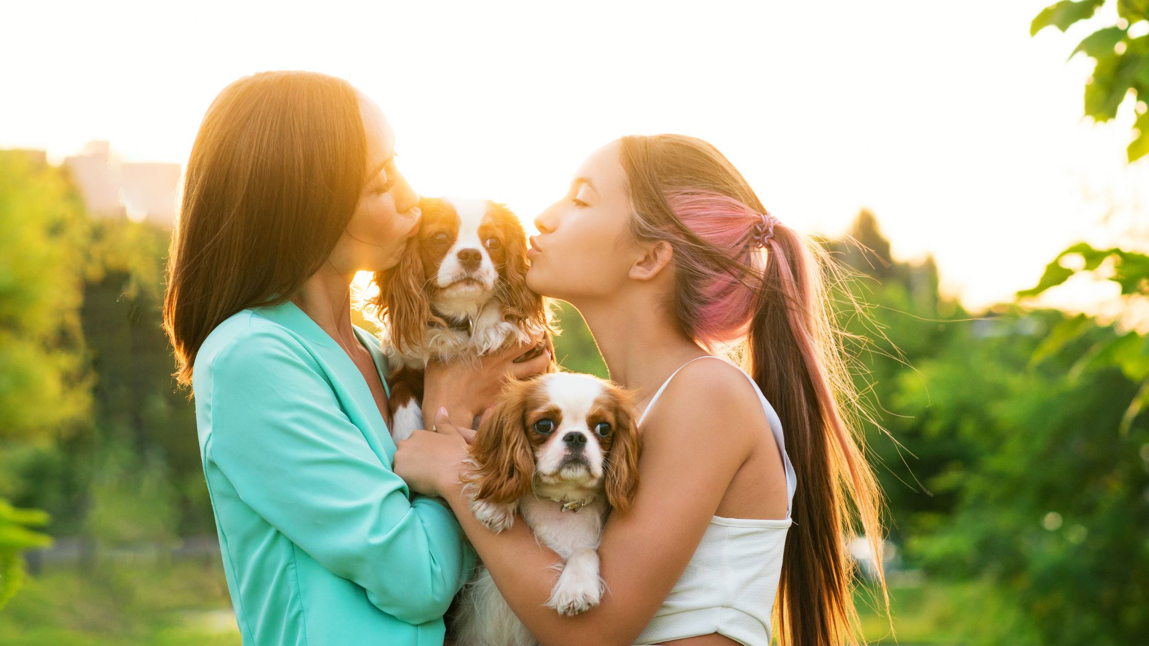 Two women outdoors at sunset holding and kissing their Cavalier King Charles Spaniel therapy dogs, showcasing common settings for animal-assisted therapy.