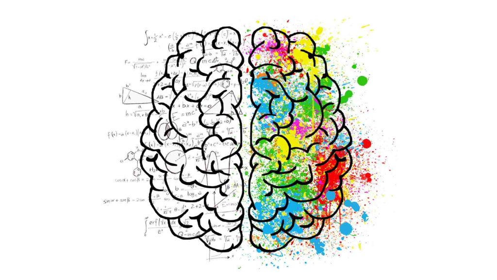 Illustration of a brain with one side in formulas and the other in colors, symbolizing art therapy’s scientific and creative benefits.