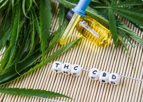 Cannabis leaves, THC and CBD blocks & oil dropper showing Delta-8 and THC-O legal highs parents should understand for teens.