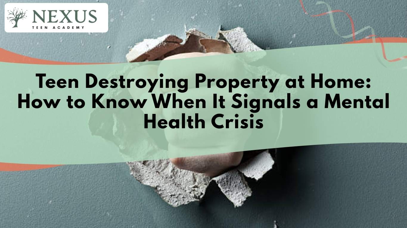 Teen expressing frustration by destroying property signaling a mental health crisis