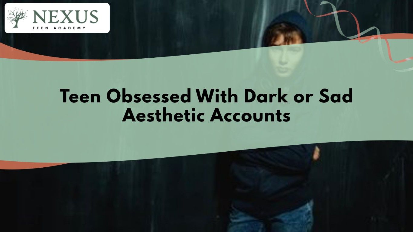 Shadowed teen behind title graphic about obsession with dark aesthetic accounts and warning signs parents should watch for.