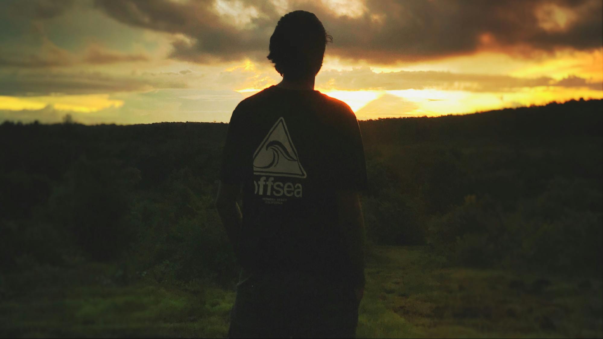 Teen standing alone at sunset overlooking a forest, reflecting emotional withdrawal, isolation, and sibling disconnection struggles.