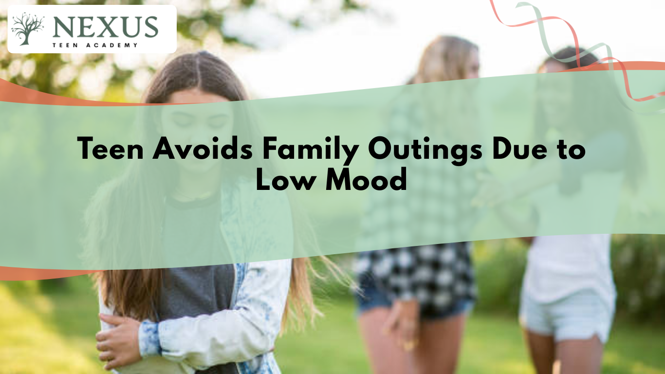 Teen standing apart as others socialize outdoors, illustrating low mood, emotional withdrawal, and family disconnection.