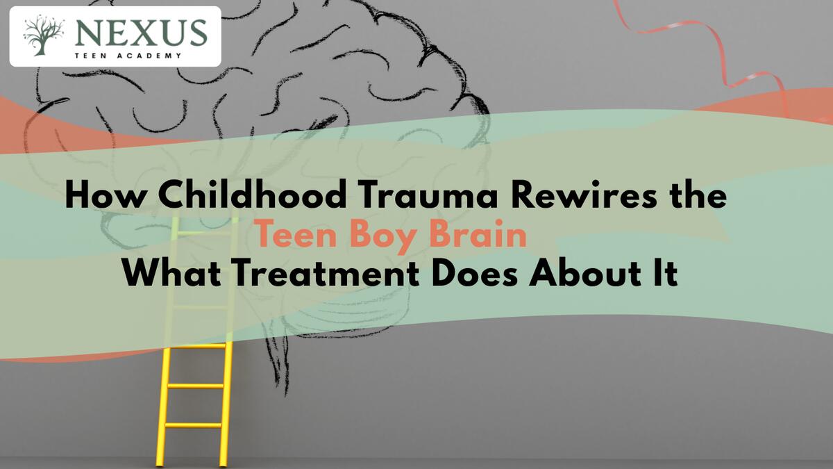 Illustration showing how childhood trauma rewires the teen boy brain and how trauma-informed treatment supports healing.