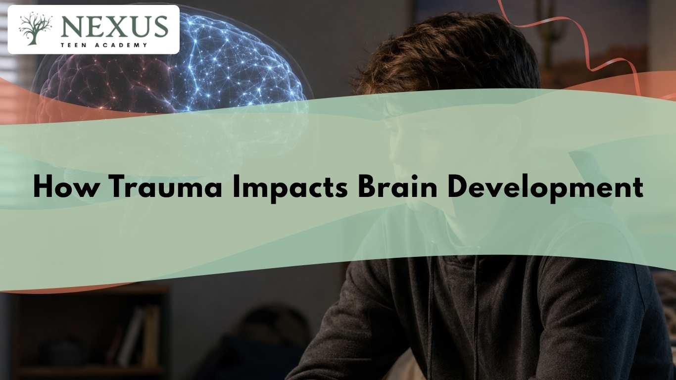 Teen beside brain graphic showing how trauma impacts adolescent brain development and supports recovery after adversity.